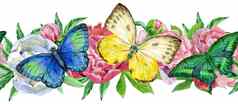 无缝的花边境色彩斑斓的蝴蝶牡丹白色背景