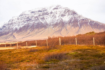 色彩斑斓的冰岛景观紫色的雪封顶山橙色长满草的前景