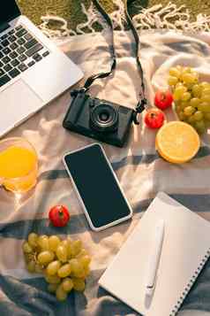 野餐设置户外表格新鲜的水果移动PC电话相机