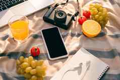 野餐设置户外表格新鲜的水果移动PC电话相机