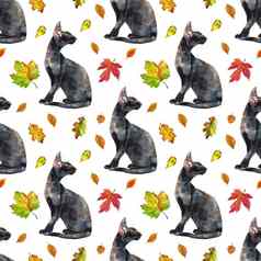 无缝的模式东方黑色的猫绘画动物插图