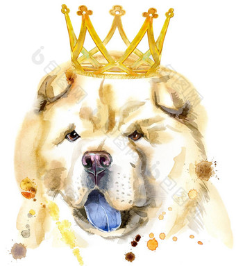 水彩肖像房间的布置狗皇冠