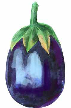 水彩插图紫罗兰色的茄子萼片