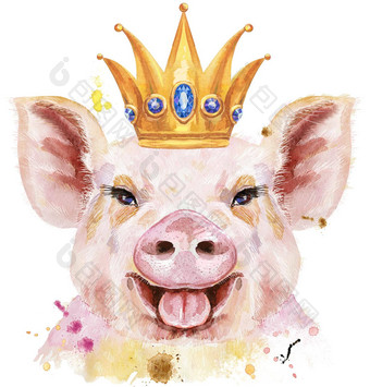 水彩肖像猪皇冠可爱的插图