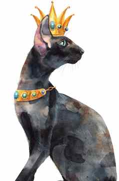 水彩东方黑色的猫黄金皇冠绘画动物插图