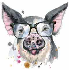 水彩肖像猪眼镜装饰