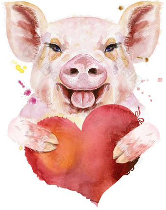 水彩肖像猪红色的心