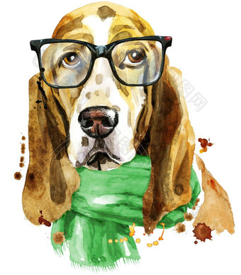 水彩肖像巴塞特猎犬眼镜绿色围巾