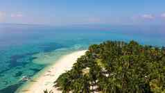 夏天海滩景观热带岛视图棕榈树令人惊异的蓝色的海迪吉奥岛菲律宾