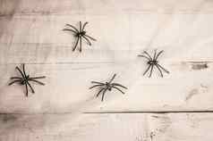 万圣节符号网络黑色的蜘蛛木背景