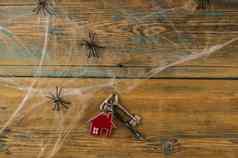 房子象征银键蜘蛛网络黑色的蜘蛛木表格前视图