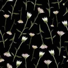 照片数字无缝的模式自然菊花花