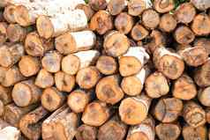 堆栈木树树干日志股票森林柴堆柴火存储餐厅行业