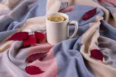 温暖的围巾柔和的颜色干秋天叶子杯子热茶