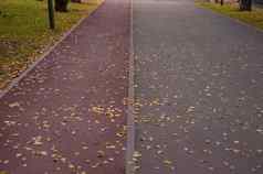 小巷人工地毯跑步机秋天公园覆盖下降叶子