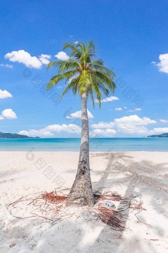 芭东海滩海滩普吉岛泰国普吉岛