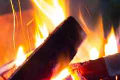 燃烧木木炭烤箱火
