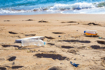 垃圾桑迪海滨伤害塑料动物世界