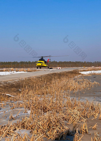 黄色的直升机需要平台远程北部区域沼泽森林苔原
