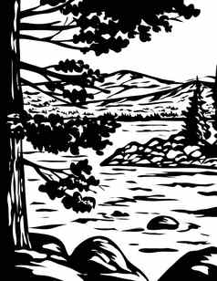 水渍险单色艺术翡翠湾状态公园南湖太浩加州美国灰度黑色的白色