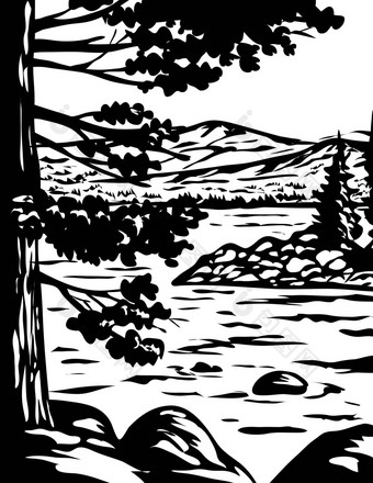 水渍险单色艺术翡翠湾状态公园南湖太<strong>浩</strong>加州美国灰度黑色的白色