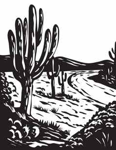水渍险艺术仙人掌国家公园皮马人县亚利桑那州美国灰度黑色的白色