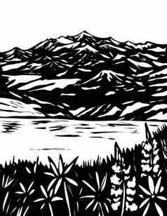 兰格尔山脉伊莱亚斯国家公园南中央阿拉斯加美国水渍险黑色的白色艺术