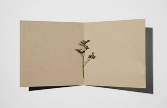 前视图文具纸植物高质量美丽的照片概念
