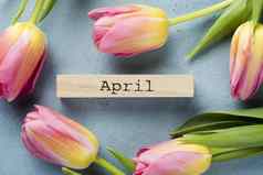 前视图郁金香框架4月标签高质量美丽的照片概念
