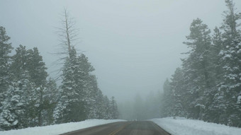 雪雾寒冷的森林开车汽车路旅行冬天犹他州美国松柏科的松树神秘视图车挡风玻璃有雾的布莱斯峡谷林地平静大气乳白色的阴霾木