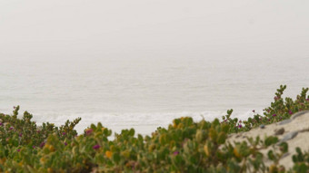 桑迪有雾的海滩加州美国太平洋海洋海岸密集的雾海海岸波布鲁姆阴霾