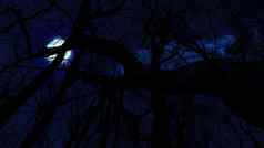 插图完整的月亮云黑暗蓝色的晚上天空