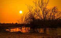 死树湖橙色日落天空背景气候改变干旱土地水危机干旱气候环境问题自然灾难自然Lanscape水危机地球
