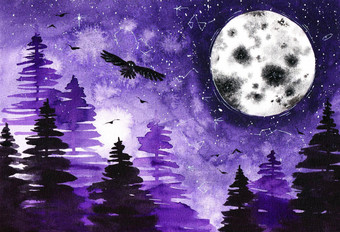 原始<strong>月亮</strong>猫头鹰森林水彩绘画纸艺术插图白色<strong>紫</strong>罗兰色的黑色的颜色晚上天空树艺术作品背景壁纸打印