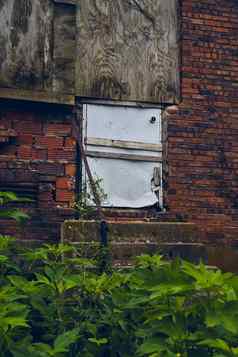 绿色植物被遗弃的建筑封锁白色通过红色的砖