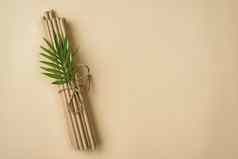 系竹子有机吸管叶子复制空间高质量美丽的照片概念