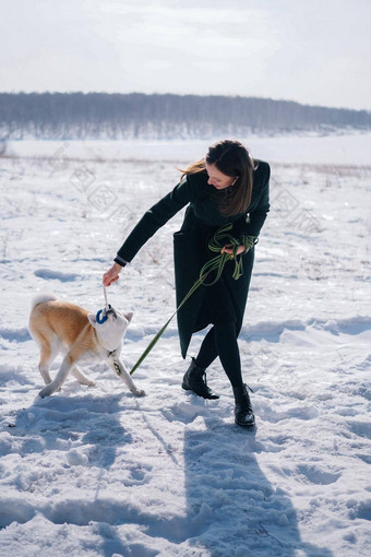 秋田犬犬儒狗绿色皮带戏剧绳子玩具女人黑暗绿色外套