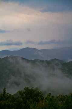 肖像烟雾缭绕的山部分多云的一天树前景