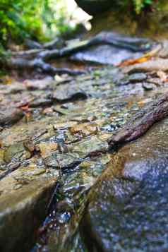 薄流水运行褐色蓝色的岩石浅河床