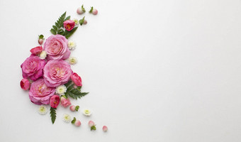 复制空间玫瑰花图片迪克高质量美丽的照片概念