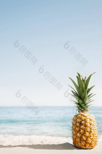 海滩背景菠萝Copyspace高质量美丽<strong>的</strong>照片概念
