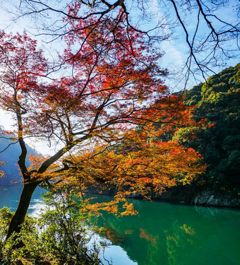 岚山日本图片