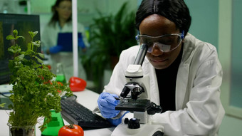 前面视图生物学家研究员女人分析转基因生物绿色样本