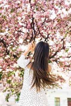 华丽的年轻的女人美丽的长头发走城市街公园夏天日落美丽的夫人户外春天开花樱花树城市公园