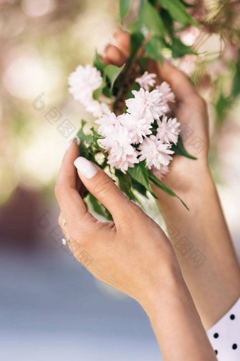 女孩触摸粉红色的樱花开花花瓣手肖像华丽的女孩持有粉红色的花花瓣手吹花瓣多风的天气