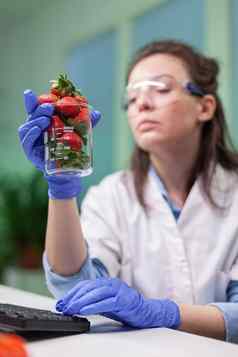 生物学家研究员有机草莓检查水果