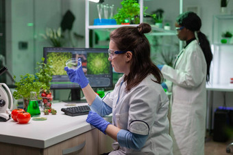植物学家女人佩特里菜叶样本检查转基因生物测试