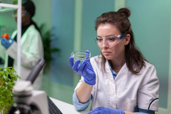 <strong>植物</strong>学家女人佩特里菜叶样本检查转基因生物测试