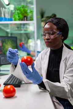 非洲生物化学家医疗手套注射有机番茄农药