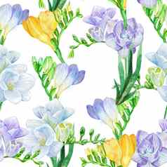 水彩白色紫罗兰色的小苍兰花无缝的背景模式轮廓花瓣